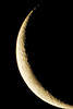 The Moon